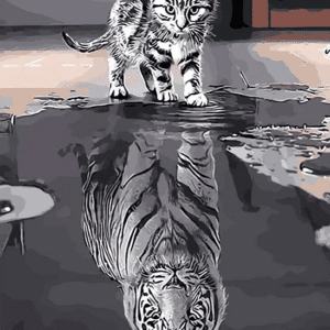 Reflection Cat Tiger  Paint By Number Kit - Just Paint by Number