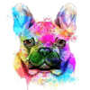 Paint By Numbers Kit Colorful Dog - Just Paint by Number