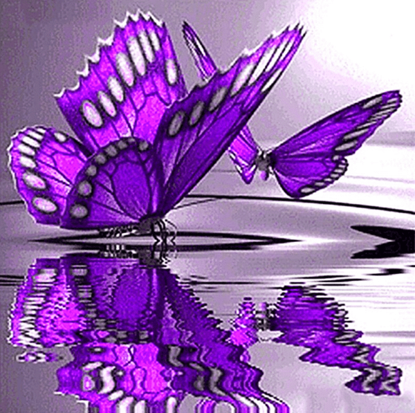 Paint by Numbers Kit Purple Butterfly