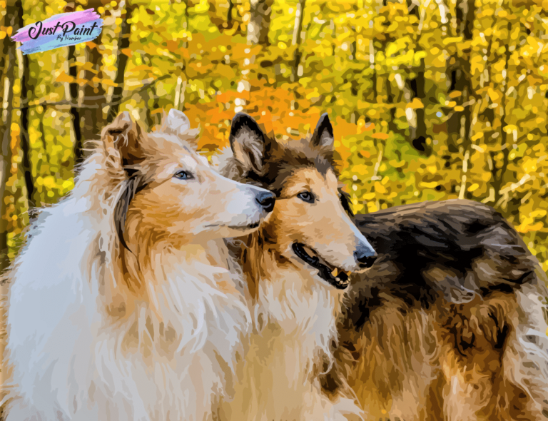 Best Custom Paint by Numbers Just Paint by Number