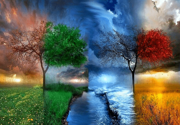 Paint by Numbers Tree thunders