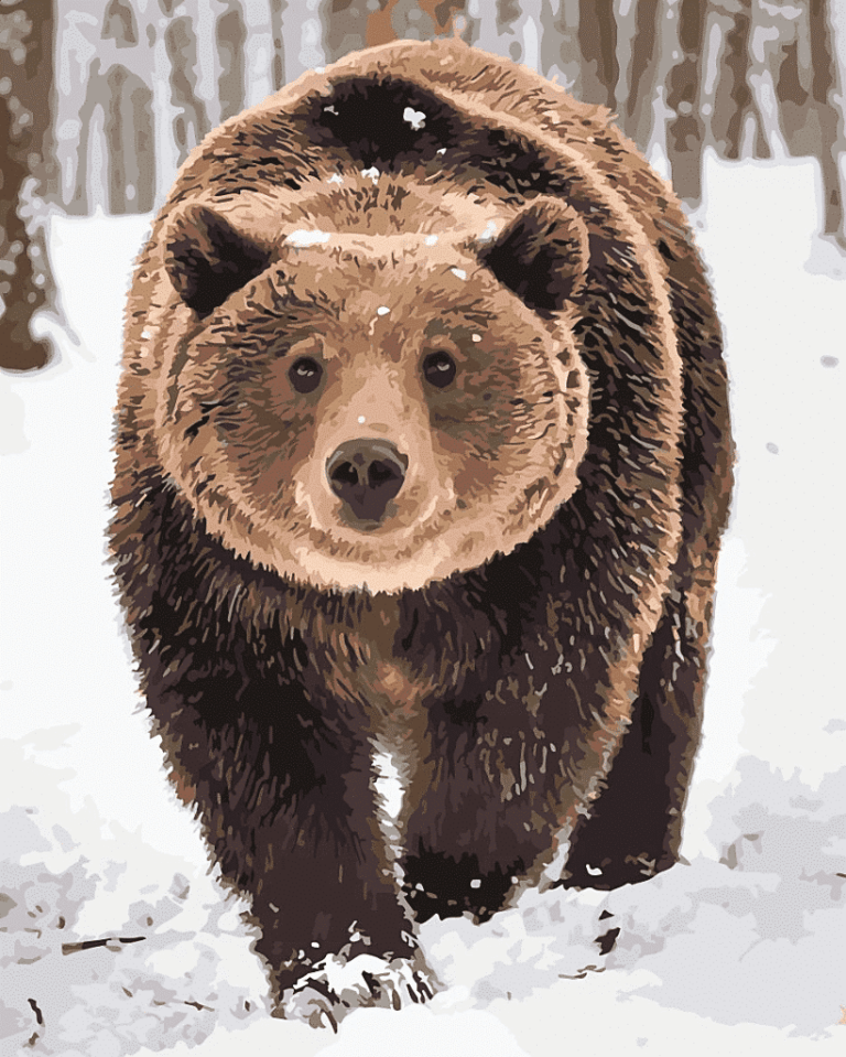 Snow Bear Paint By Numbers Kit - Just Paint by Number