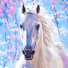 Paint by Numbers Kit White Horse - Just Paint by Number