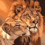 Lions together Paint By Number Kit - Just Paint by Number