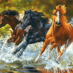 Paint by Numbers Kit Horses Running - Just Paint by Number