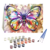 Photo of a colorful butterfly paint by number set