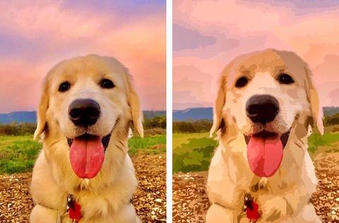 Just Paint By Numbers Kit Painting of a Happy Dog Sticking its Tongue Out