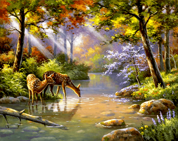 Paint by Numbers Kit Deers Landscape