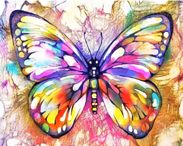 Colorful Butterfly - Paint by Numbers Kit