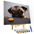 Paint by Numbers Kit Pug
