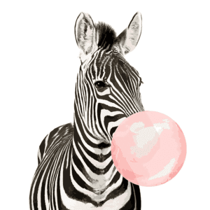 Painting by Numbers Kit for Kids Zebra Modern Art - Just Paint by Number