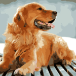 Paint by Numbers Kit Dog Golden Retriever - Just Paint by Number