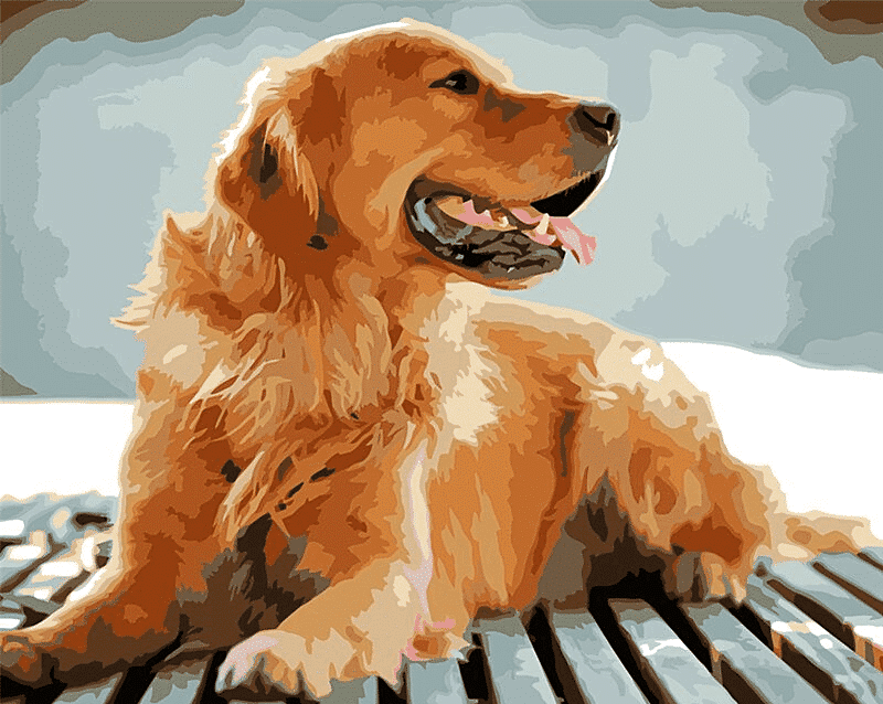 Paint by Numbers Kit Dog Golden Retriever - Just Paint by Number