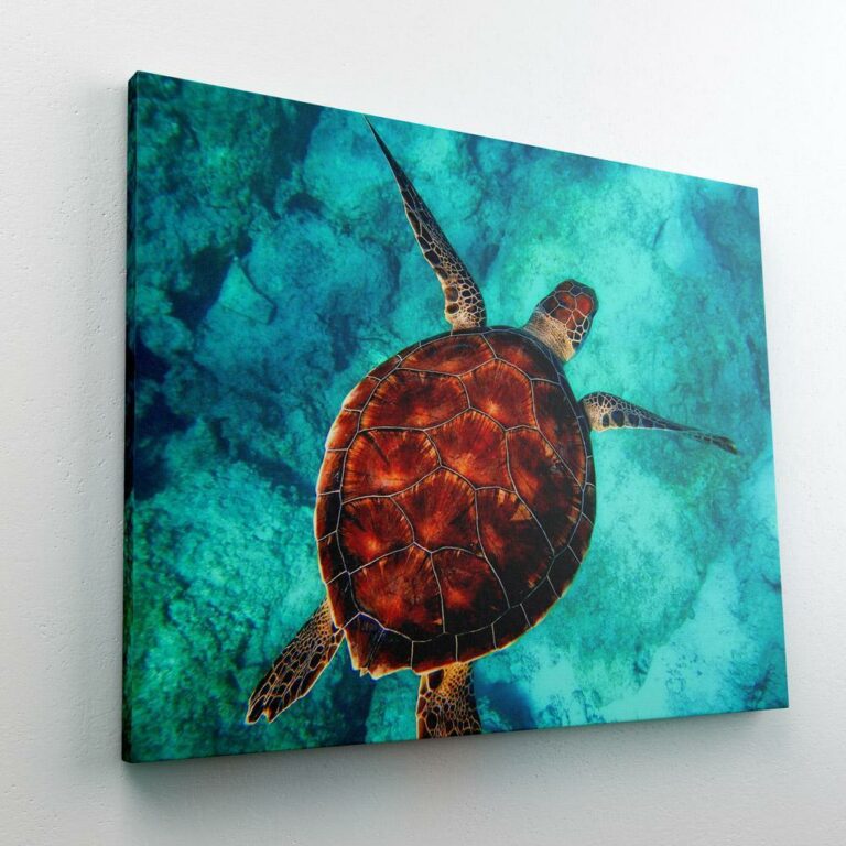 Sea Turtle Kit | Just Paint by Number