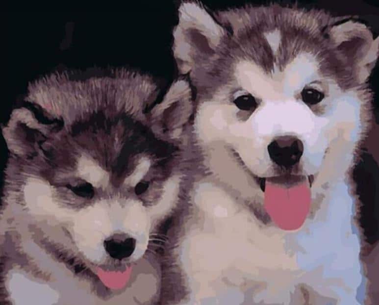 Two Siberian Husky puppies sitting next to each other painting