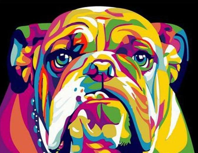 Abstract Bull Dog Paint by Numbers Kit - Just Paint by Number
