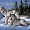 Two Wolves Paint by Numbers Kit - Just Paint by Number