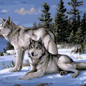 Two Wolves Paint by Numbers Kit - Just Paint by Number