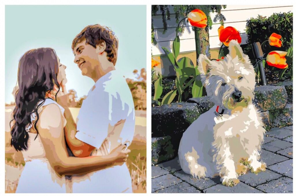 Custom Paint by Number Kits Just Paint by Numbers