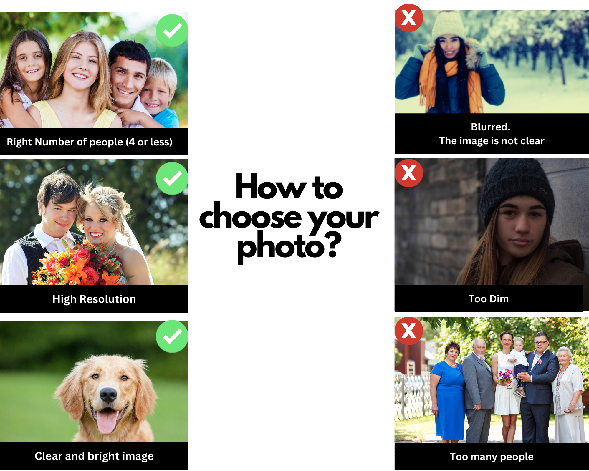 Collage of how to choose a photo for a custom paint by number kit