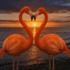 Paint by numbers artwork of two flamingos forming a heart shape with their necks at sunset, standing by the ocean with a glowing sky in the background.