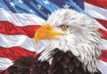 We now offer kits paint by number kits shipped from the US - Just Paint by Number