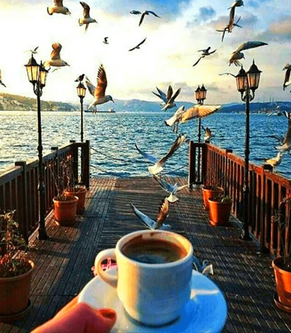 Paint By Numbers Kit Scenery - Just Paint by Number