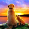 a paint by number painting of a dog and cat looking at the sunset