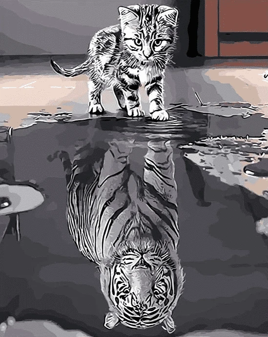 Reflection Cat Tiger Paint By Number Kit - Just Paint by Number