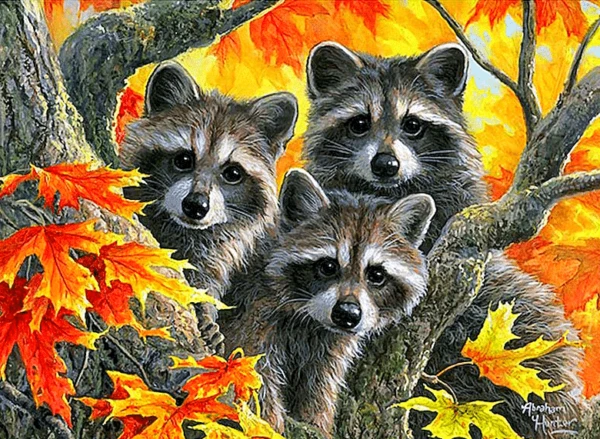 Paint by Numbers Kit Maple Tree Raccoons