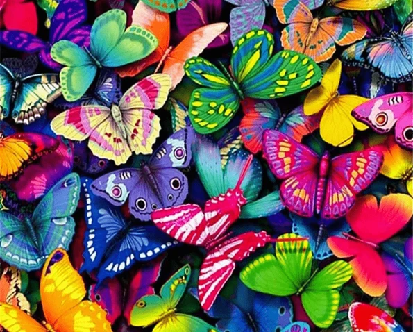 Colorful Butterflies Paint By Number Kit - Just Paint by Number