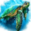 A painting of a green sea turtle swimming in the ocean