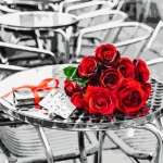 Paint by Numbers Kit Rose Perspective - Just Paint by Number