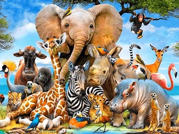 Paint by Numbers Kit Animal Paradise