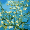 Van Gogh Flower Apricot Just Paint by Number painting