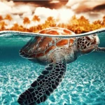 Paint by Numbers Kit Diving Turtle - Just Paint by Number