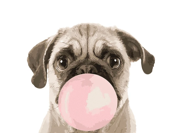 a pug dog blowing a pink bubble gum bubble painting