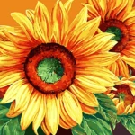 Photo of Radiant Sunflower - Paint by Numbers Kit painting