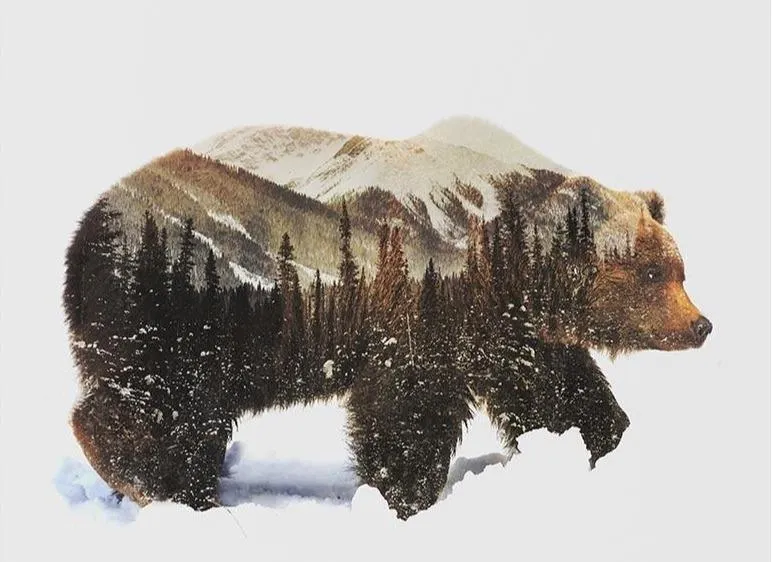 Paint By Number Kit Bear & Forest Composition - Just Paint by Number