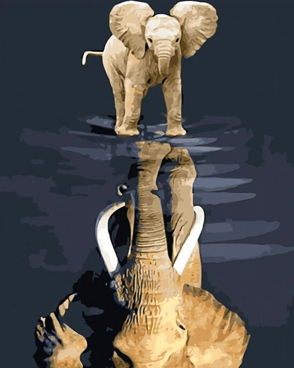 Paint by Numbers Kit Elephant Baby Reflection