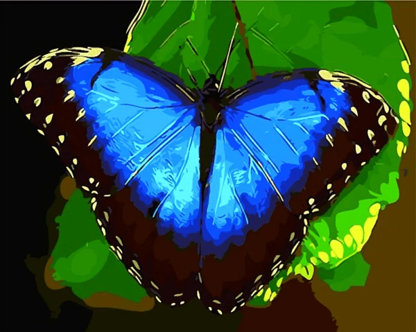 Paint by Numbers Kit Blue Butterfly