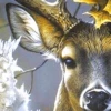 Paint by number portrait of a deer’s head nestled between tree branches adorned with white and yellow fall leaves.