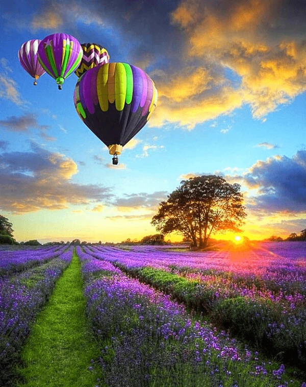 Hot Air Balloons Scenery Paint by Numbers Kit