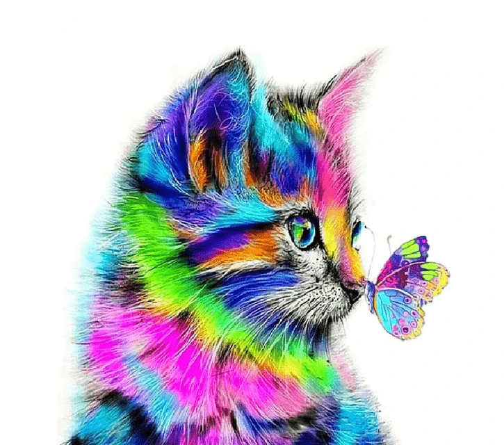 Paint By Numbers Kit Cat Butterfly - Just Paint by Number