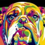 Abstract Bull Dog Paint by Numbers Kit - Just Paint by Number