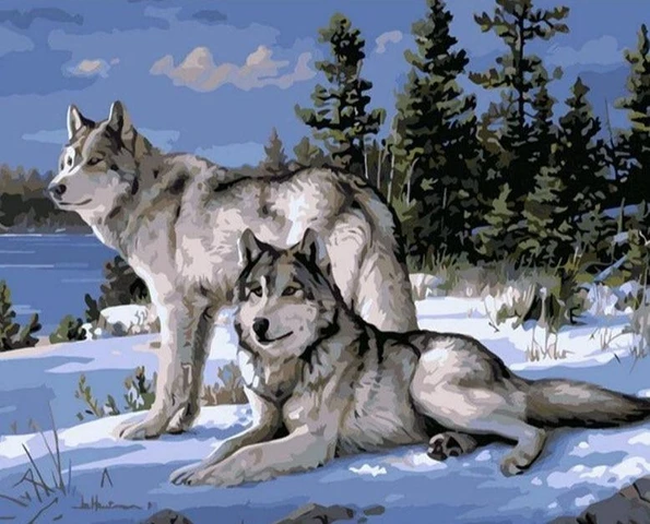 Two Wolves Paint by Numbers Kit - Just Paint by Number