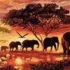 Elephants Sunset Landscape Paint by Numbers Kit - Just Paint by Number
