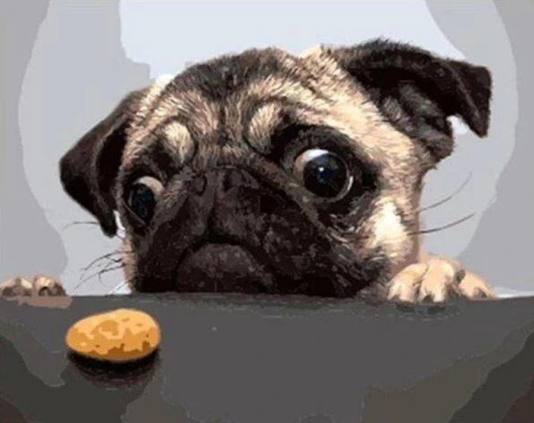 Pug Paint by Numbers Kit - Just Paint by Number