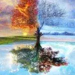 Paint By Numbers Kit Abstract Season Tree - Just Paint by Number