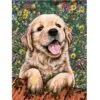 A painting of a golden retriever puppy resting its paws on a bench, set against a vibrant floral background.